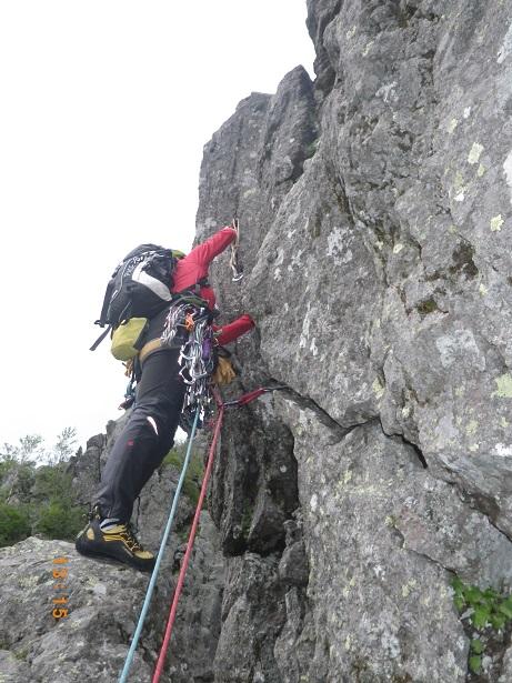 快適なマルチでした